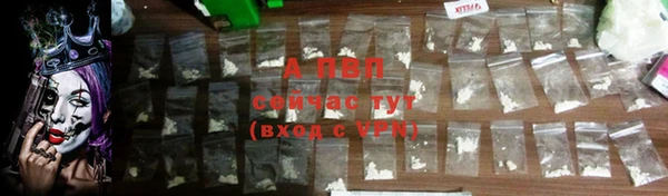 прущий лед Богданович
