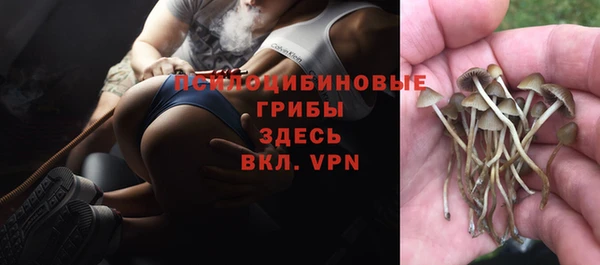 тгк Богородицк