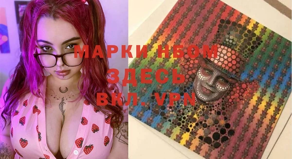 прущий лед Богданович