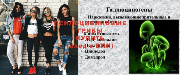 прущий лед Богданович