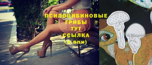 прущий лед Богданович