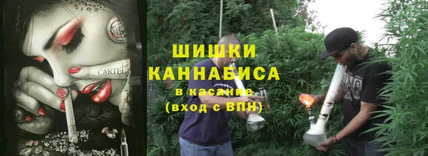 тгк Богородицк