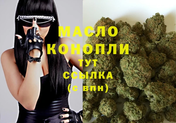 тгк Богородицк
